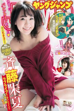 陆军一号电视剧